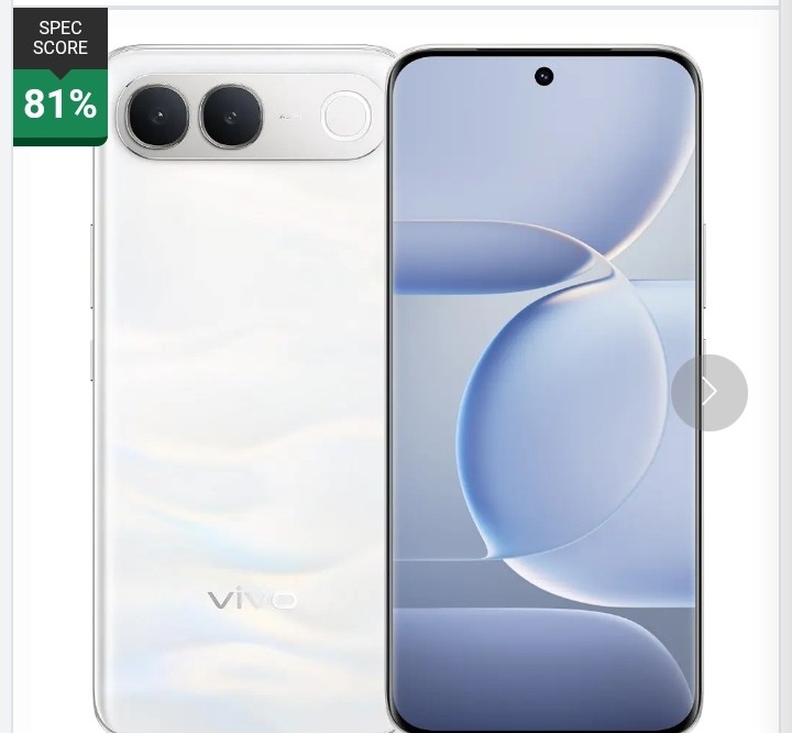 Vivo V80 Lite